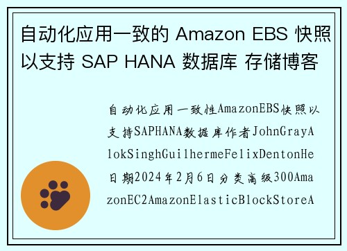 自动化应用一致的 Amazon EBS 快照以支持 SAP HANA 数据库 存储博客